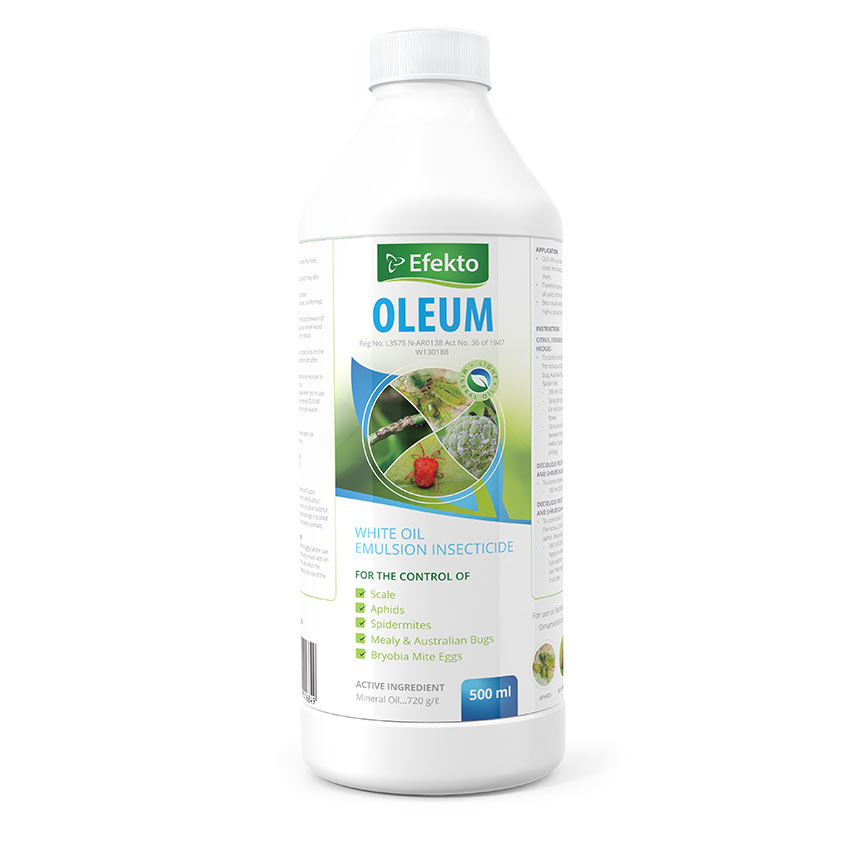 EFEKTO OLEUM 500ML
