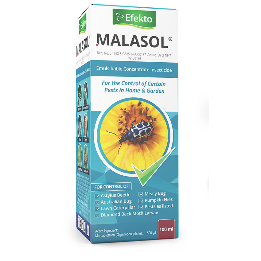 EFEKTO MALASOL - 100ml