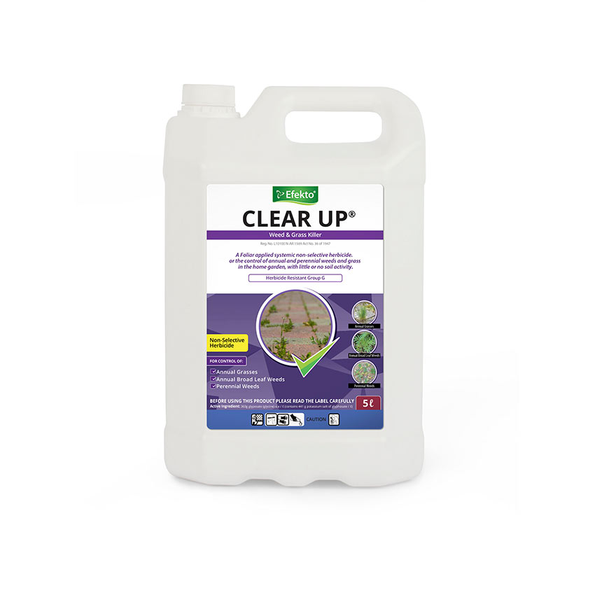 EFEKTO CLEAR UP - 5L