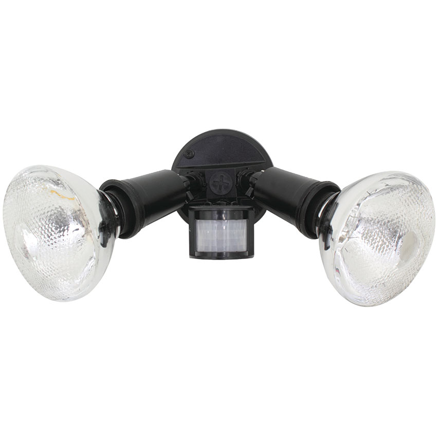 Eurolux Security Light for PAR 38 - Black