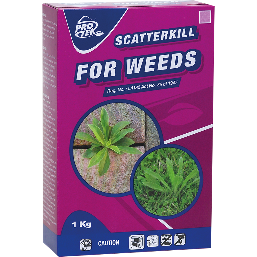 PROTEK HERBICIDE SCATTERKILL FOR WEEDS - 1KG