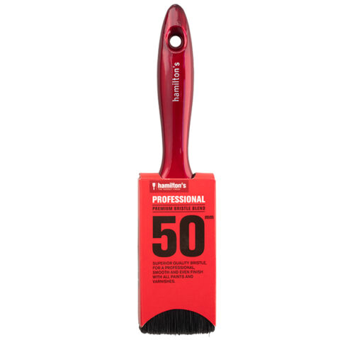 PROFESSIONAL BRUSH 50MM