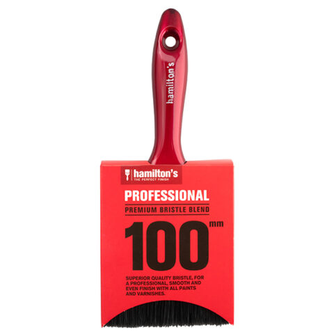 PROFESSIONAL BRUSH 100MM