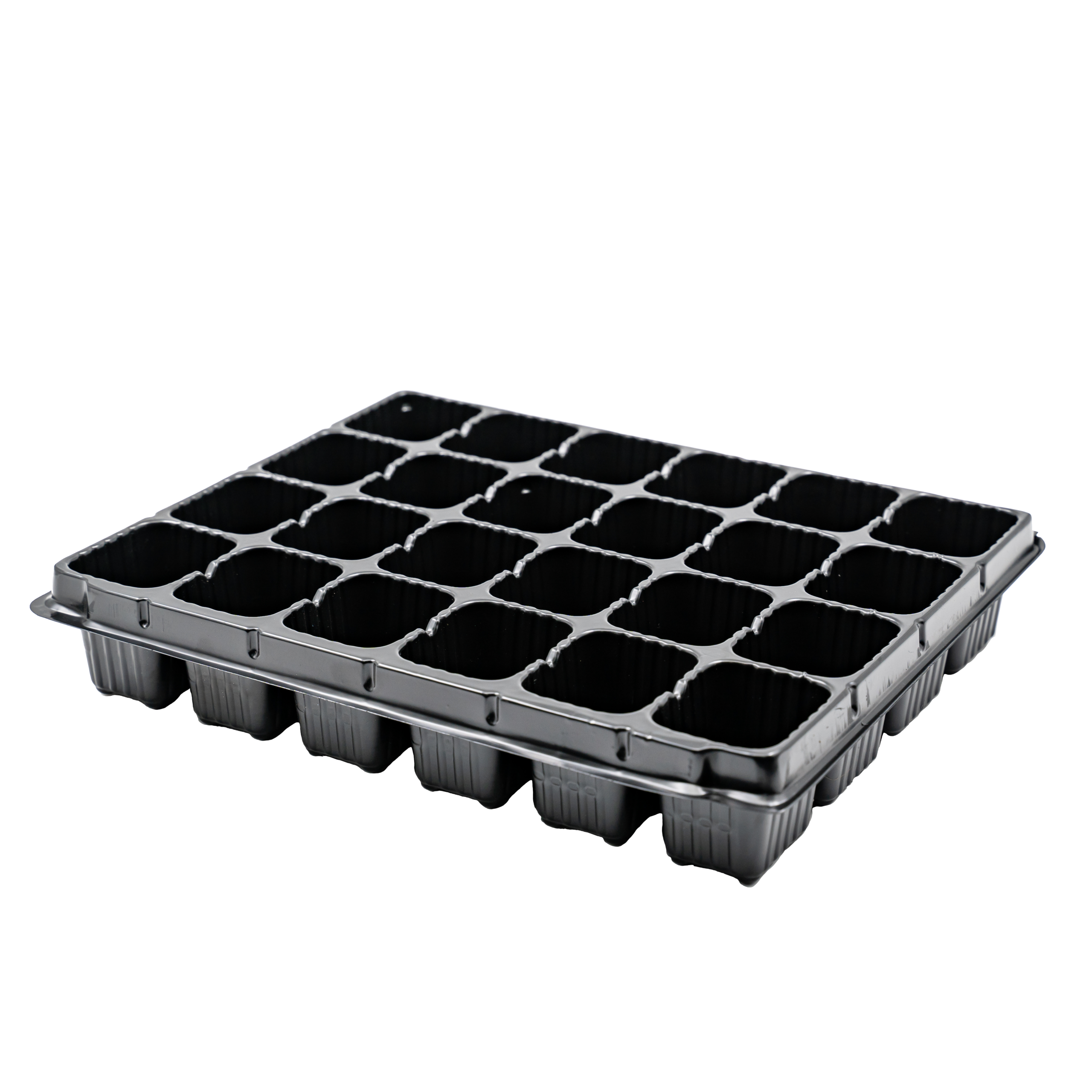 24 Cavity Seedling Tray V/ Pack Black 4x6cm