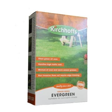 Evergreen Lawn Seed Box 500g