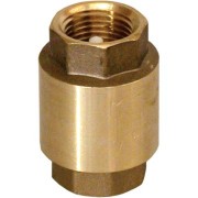 NON RETURN SPRING VALVE 1" SW