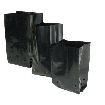 Planting Bag Black 100x75x200mm 1.25L Per 50