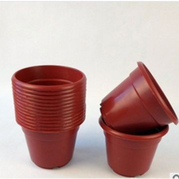 Ball Straathof Red Plastic Pot 12cm