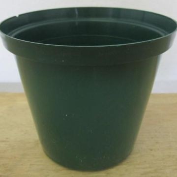 Ball Straathof Green Plastic Pot 12cm