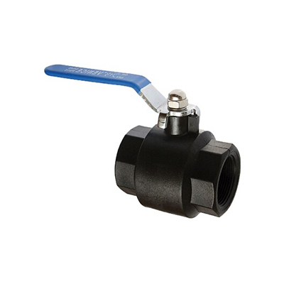 LEVER BALL VALVE NYLON FXF 1" SW