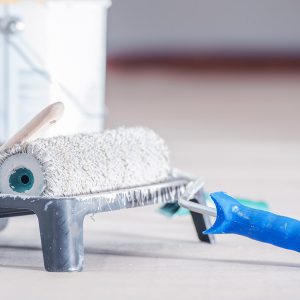 PAINT ACCESSORIES